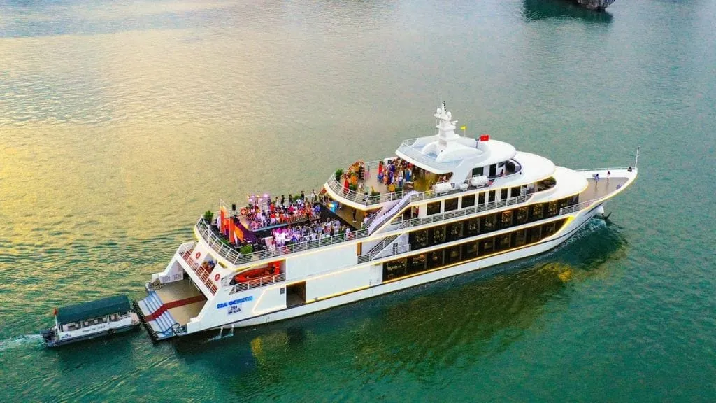 xr:d:DAFMRCNO04c:5,j:35386341023,t:22091504