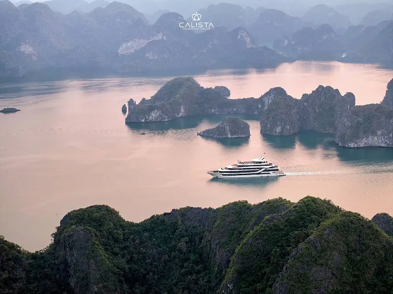 Trải Nghiệm Đỉnh Cao: Khám Phá Du Thuyền 5 Sao Hạ Long