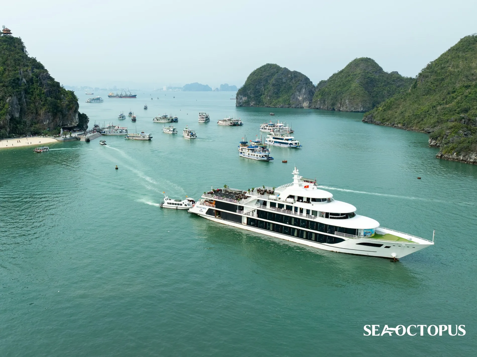 Du Thuyền Sea Octopus (3)