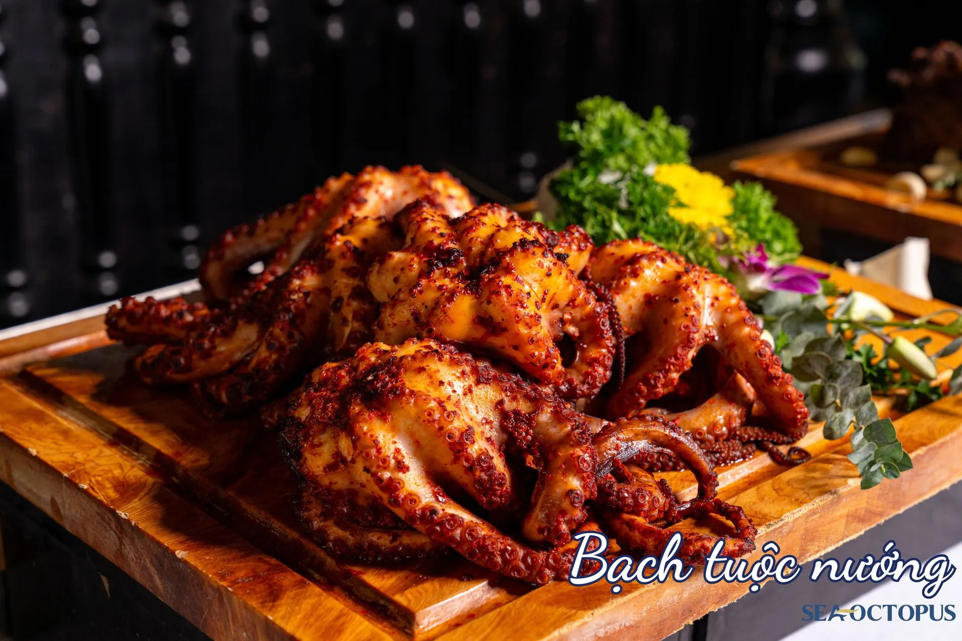 Du Thuyền Sea Octopus (4)