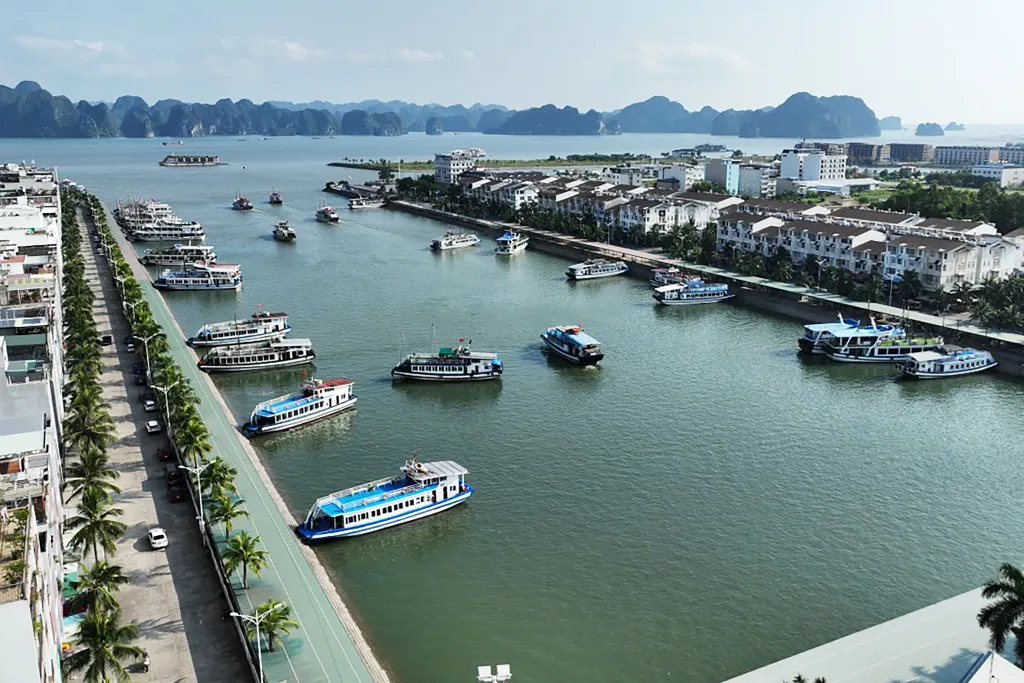 tàu du lịch hạ long