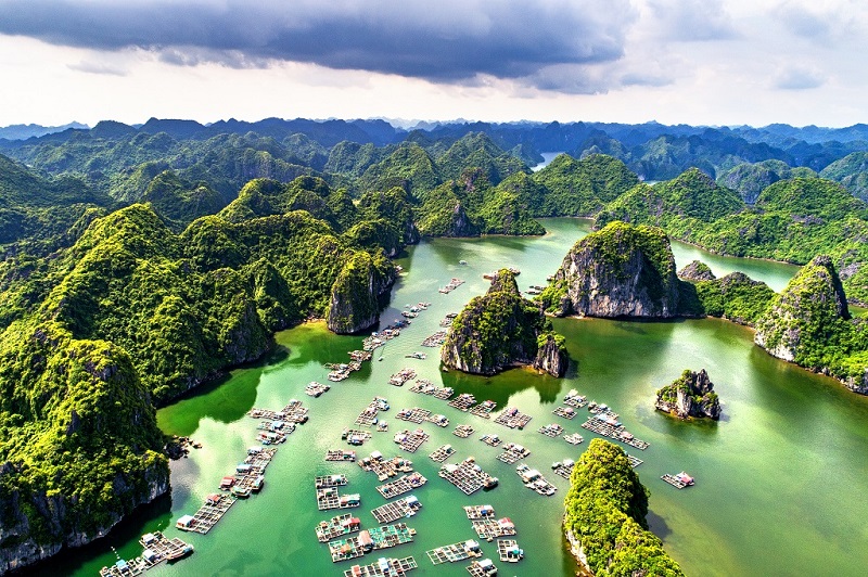Nên Chọn Du Thuyền Hạ Long Hay Lan Hạ