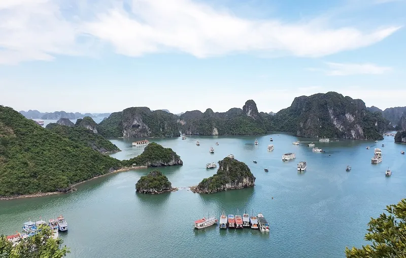 nên chọn du thuyền Hạ Long hay Lan Hạ (2)