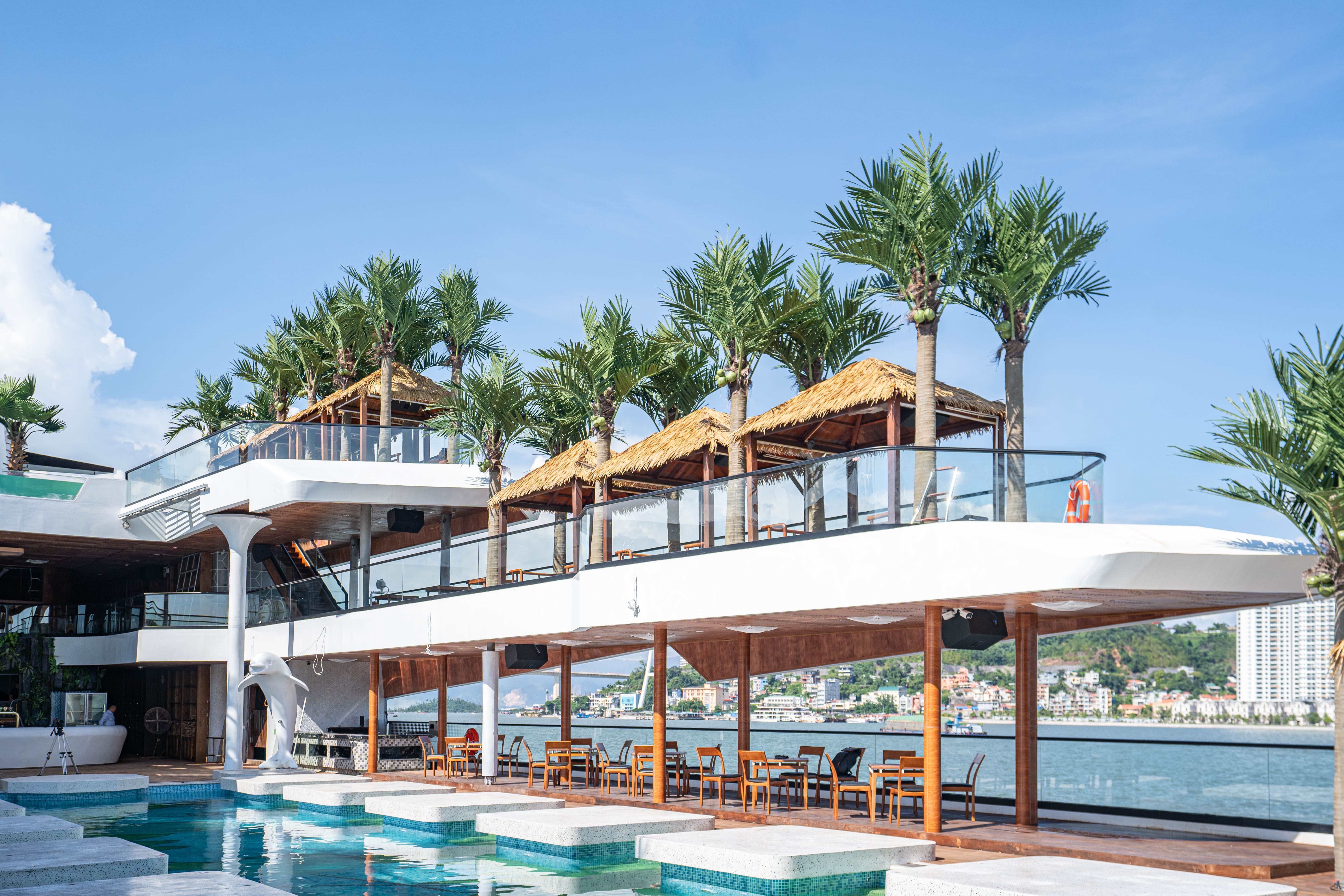 Đặt tour Dolphin Cruise (1)