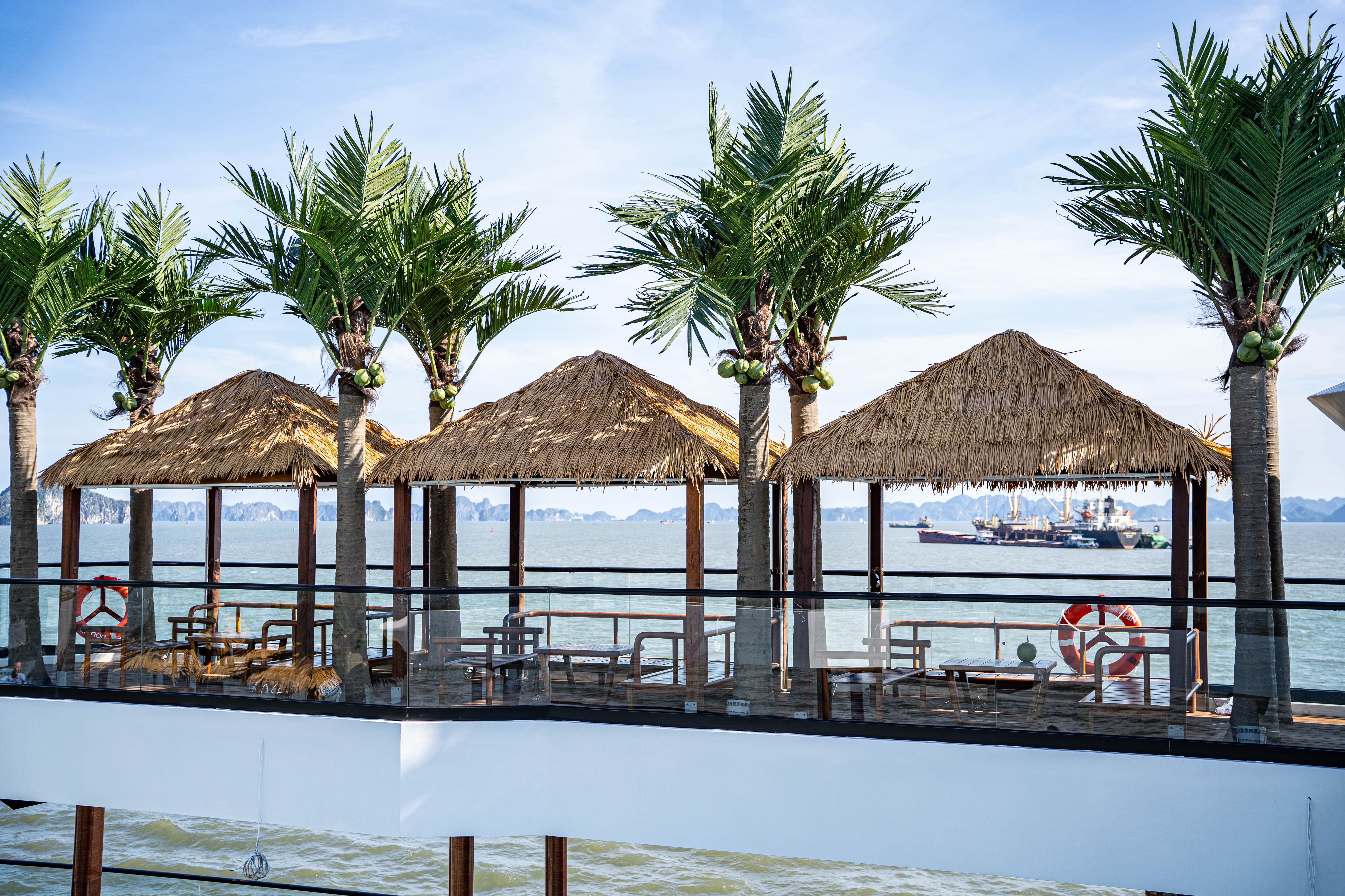 Đặt tour Dolphin Cruise (15)