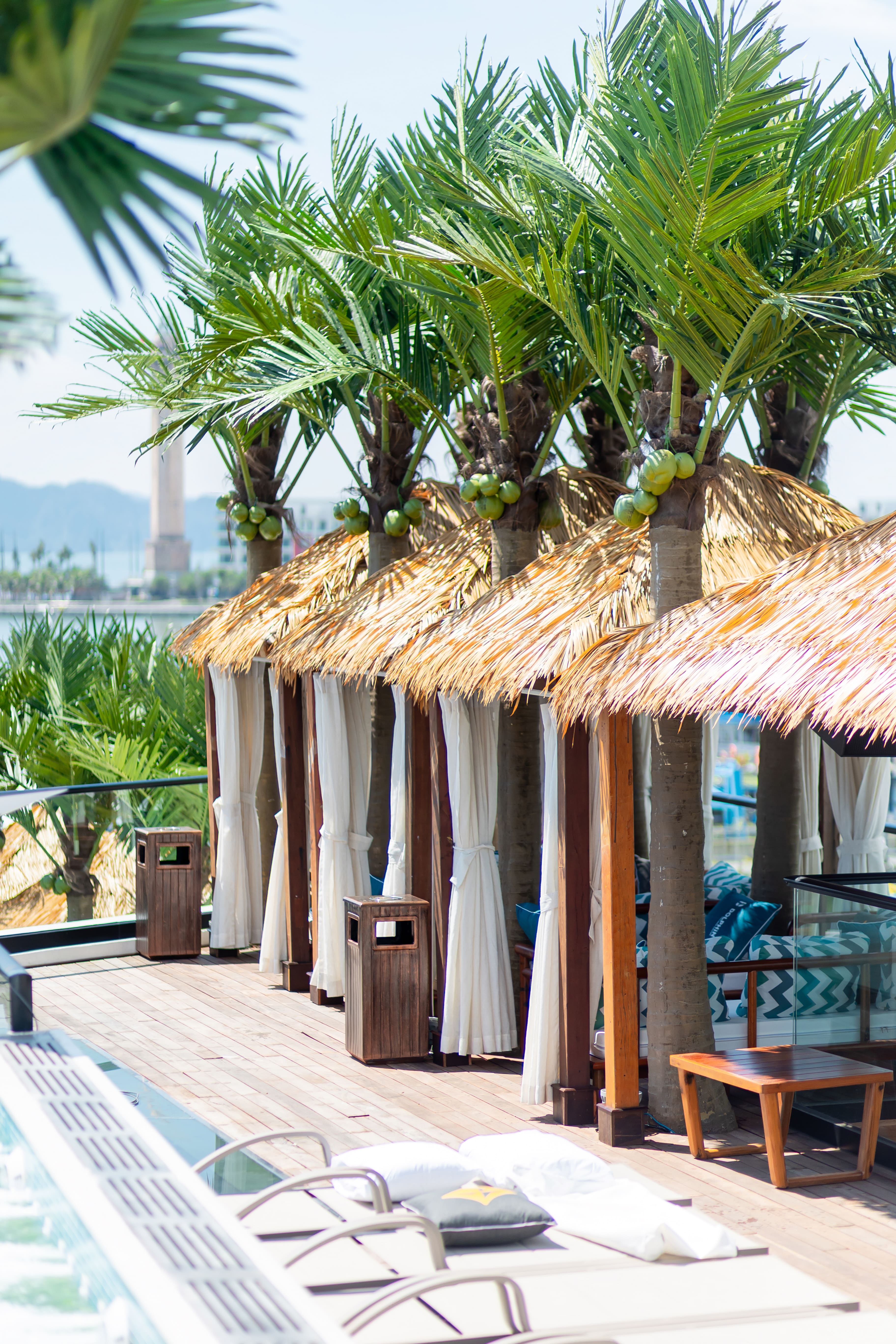 Đặt tour Dolphin Cruise (6)