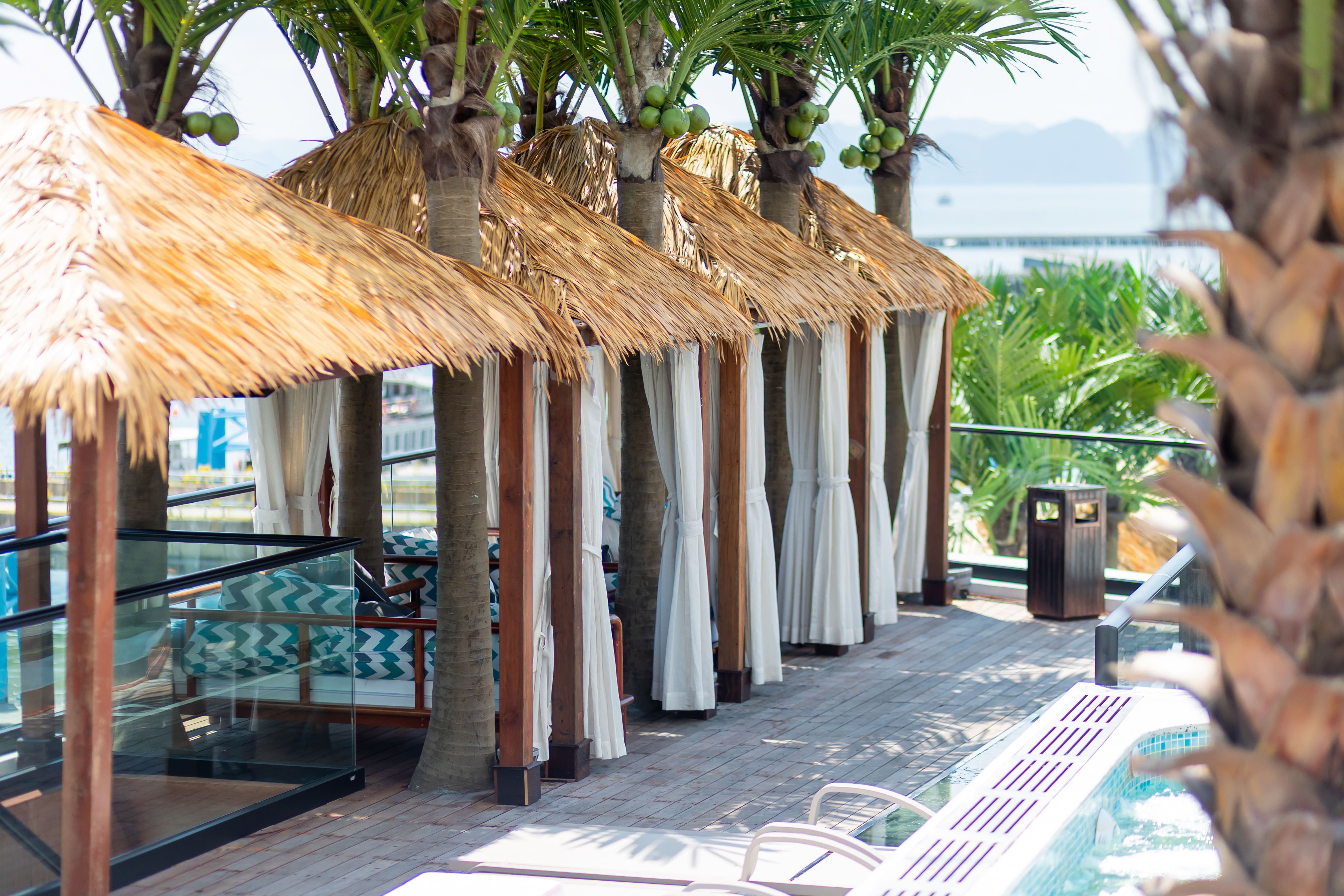 Đặt tour Dolphin Cruise (7)