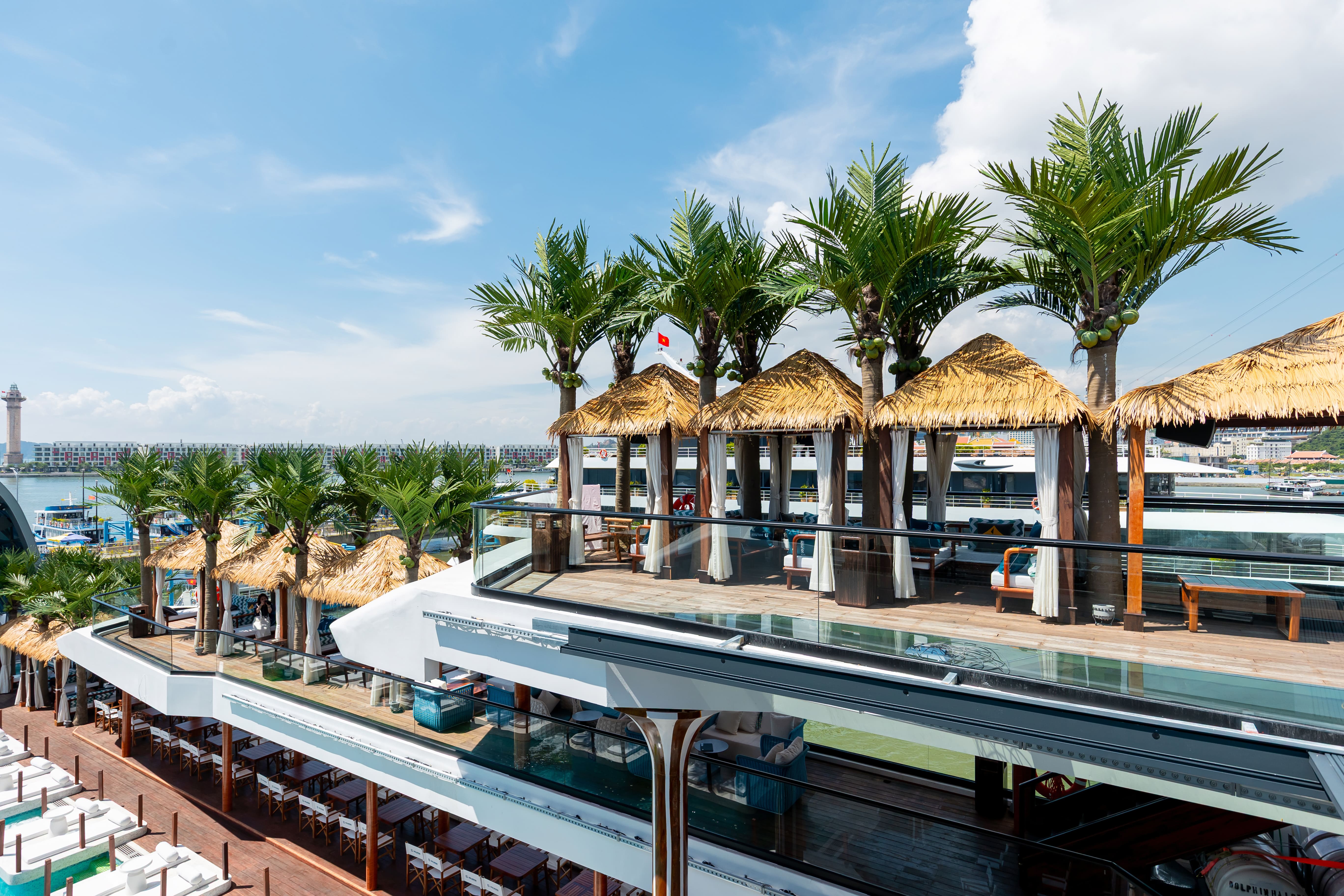 Đặt tour Dolphin Cruise (9)