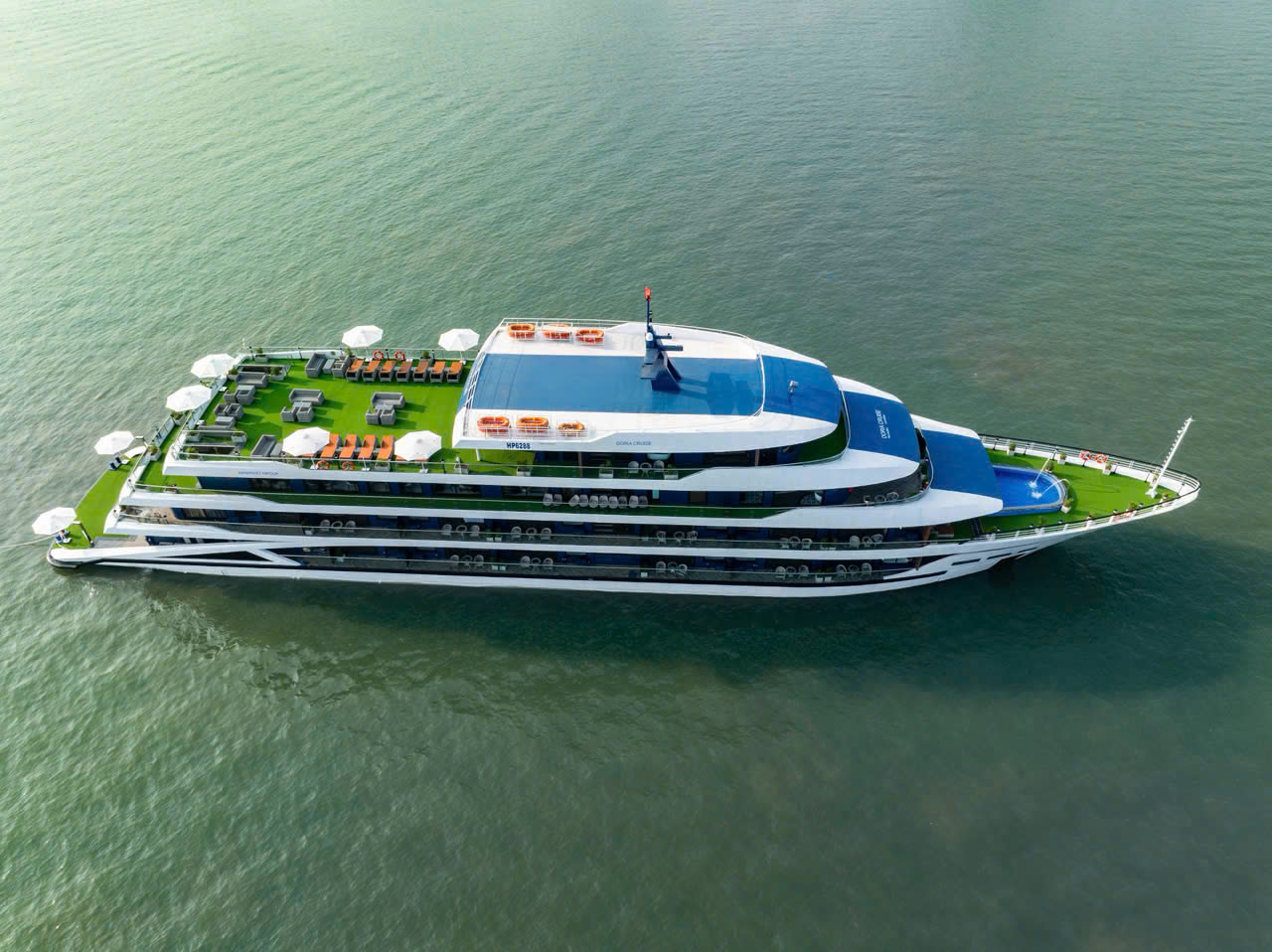 Dora Cruise