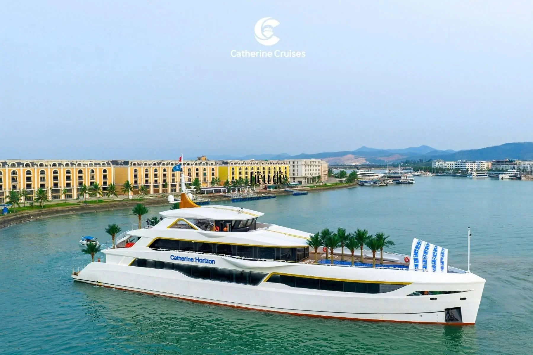 Catherine Horizon ăn tối (9)